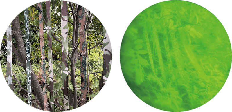 IRR vs. NON IRR